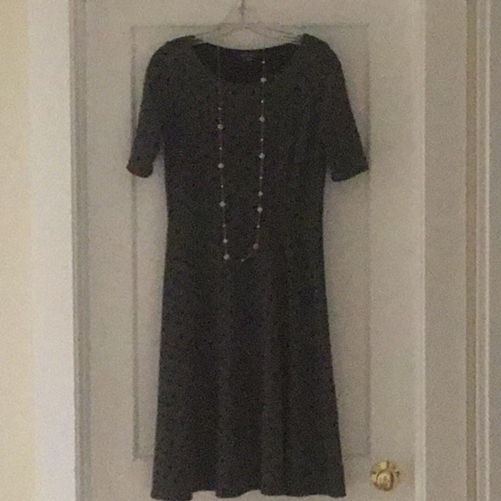 Land’s End polka dot A line dress.